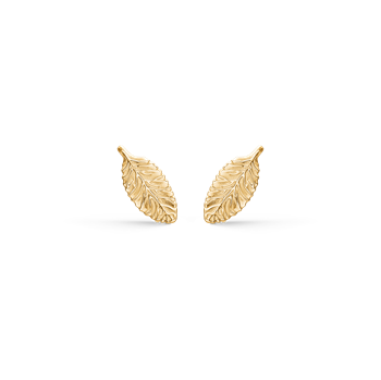 Støvring Design's Super fine små blad ørestikker i 14 kt guld. Måler 4 x 9 mm