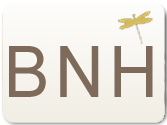 BNH kædevarer på Guldsmykket.dk - spar minimum20%