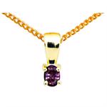 9 kt klassisk vedh�ng med Amethyst
