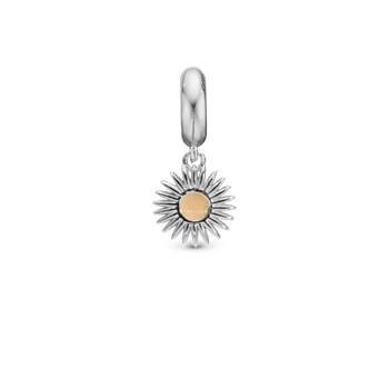 Glow in the dark - Sun charm, Sølv - Charm til 4 mm Christina armbånd