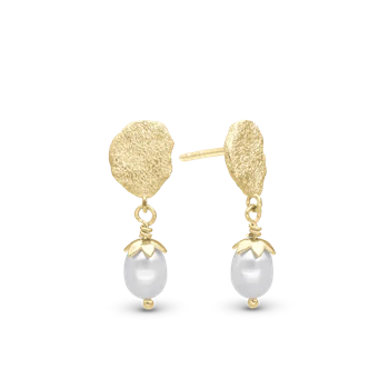 Sparkling Life  forgyldt sølv Ørehænger