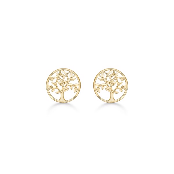 Smukke cirkel ørestikker i 14 karat guld med Livets Træ fra Støvring Design
