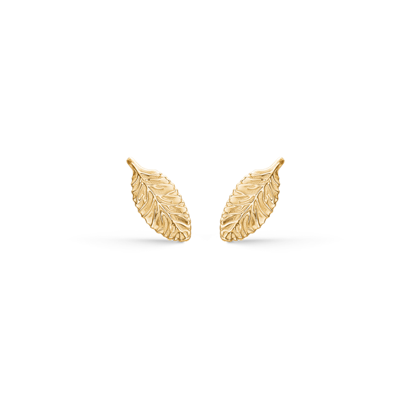 Støvring Design\'s Super fine små blad ørestikker i 14 kt guld. Måler 4 x 9 mm