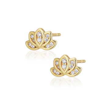 Alura GAIA EARSTUD 06