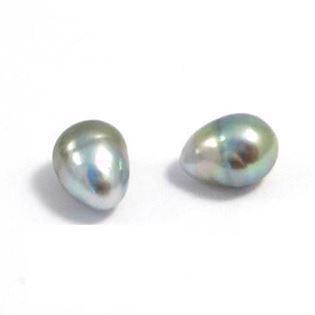 Tahiti Perler dråbeformet 9-10 mm 14 kt hvidgulds ørebøjler