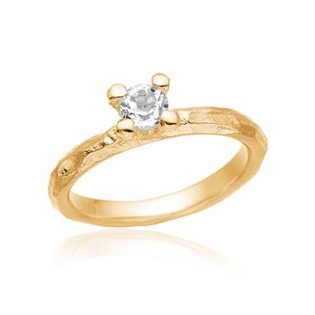Smuk klassisk ring med kant, fra Blicher Fuglsang