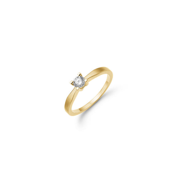 Eternity 14kt d.ring 1x0,25ct wsi 4/grab, fra aagaard
