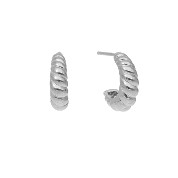 Halvcreol konkylie, fra aagaard