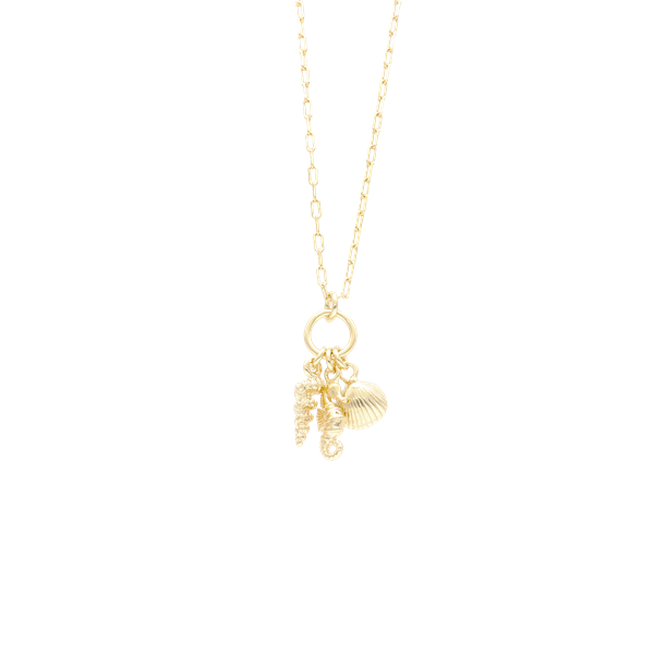 halskæde med havets vedhæng , fra Aagaard