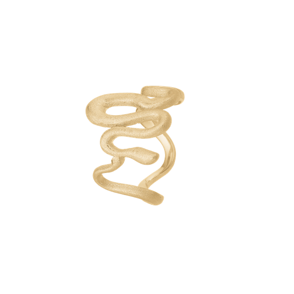 Snake, ring, forg, fra aagaard