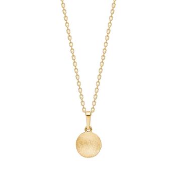 8kt guldvedhæng plade inkl. forg. sølvkæde , fra Siersbøl