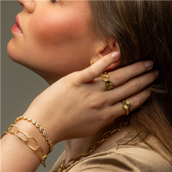 Sunhine Ring i forgyldt stål SNEAK PEAK - 50, fra Blicher Fuglsang