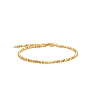 SON armbånd stål IP gold, rund venezia 16+3cm, fra Son of Noa
