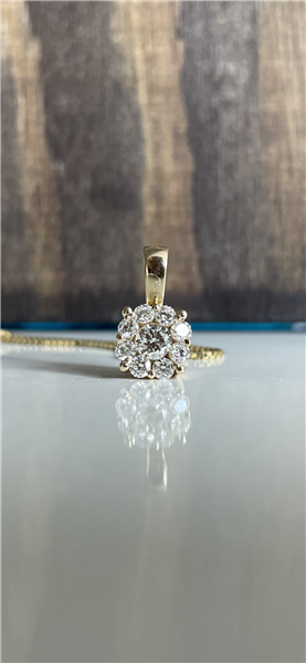 Vedhæng 14 karat rød guld BLOOM med brillanter med sølv forgyldt kæde, fra L&G